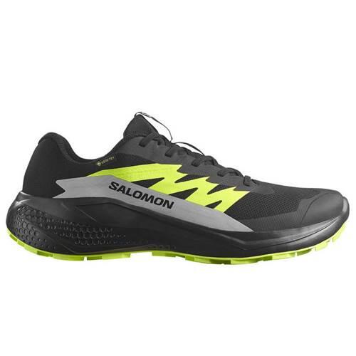 SALOMON picture
