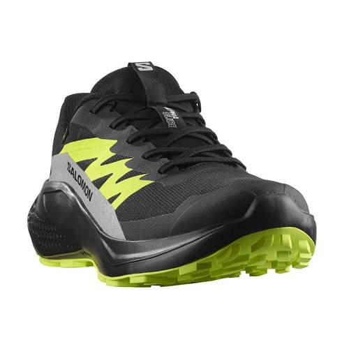 Buty do biegania męskie Salomon Alphaglide Gtx 2/5