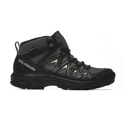 SALOMON picture