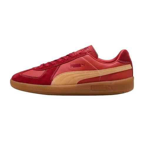 PUMA picture