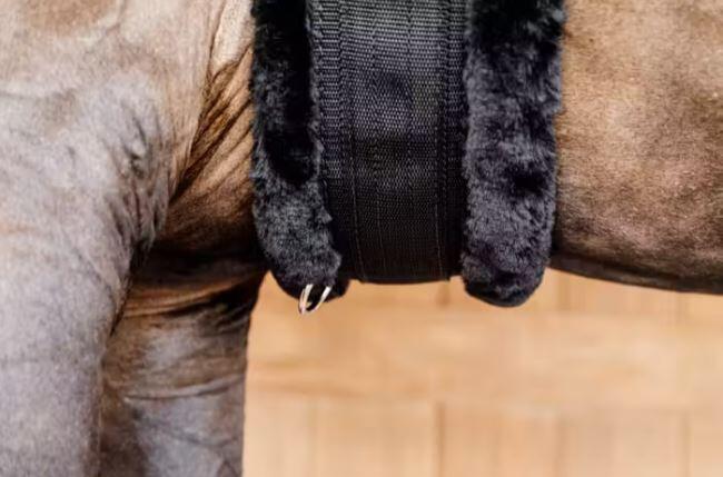 Kentucky Singel Wol/bont 125cm - 2/7