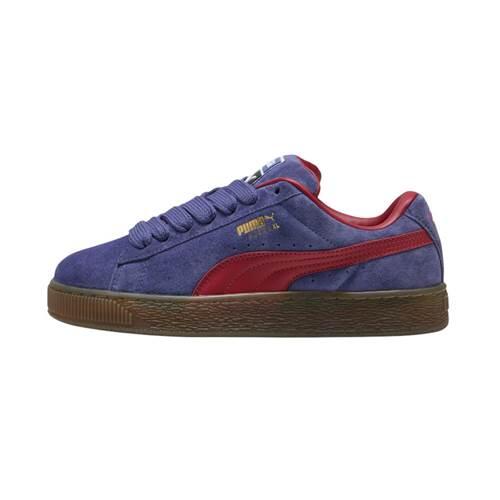 PUMA picture