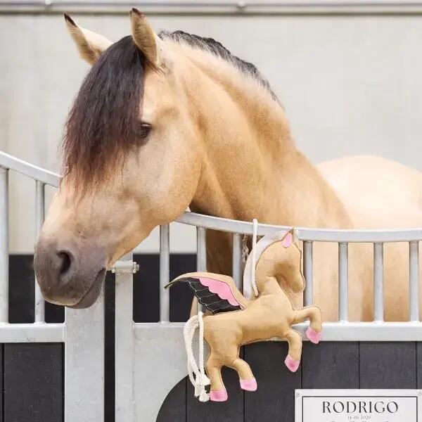 IMPERIAL RIDING picture