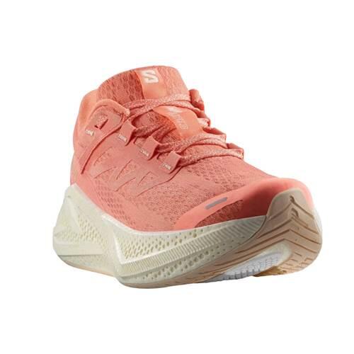 Buty do biegania damskie Salomon Aero Glide 3 2/5
