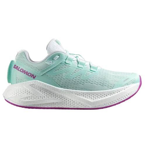 SALOMON picture