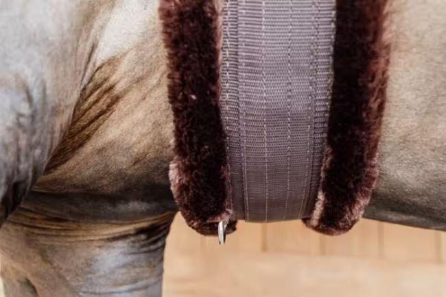 Kentucky Singel Wol/bont 120cm - 2/7