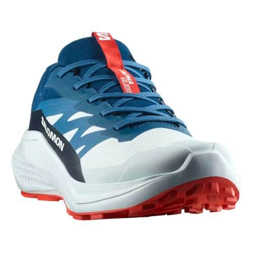 Buty do biegania męskie Salomon Alphaglide 2/5