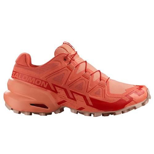 SALOMON picture