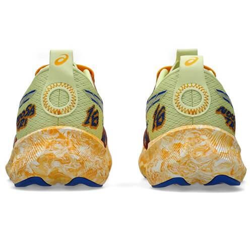 Buty do biegania męskie Asics Noosa Tri 16