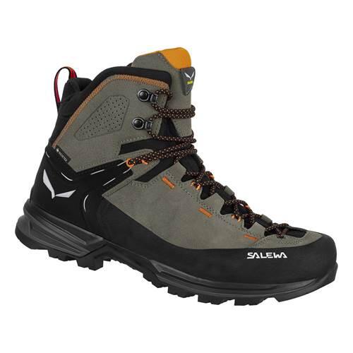 SALEWA picture