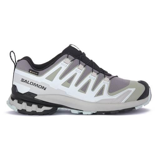 SALOMON picture