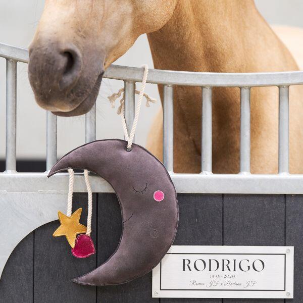 Jouet de box Moony - IMPERIAL RIDING 2/3