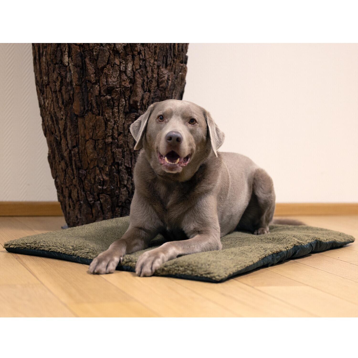 Hundebett Retrieve Dog 5/5