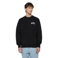 Sweatshirt Dickies Aitkin