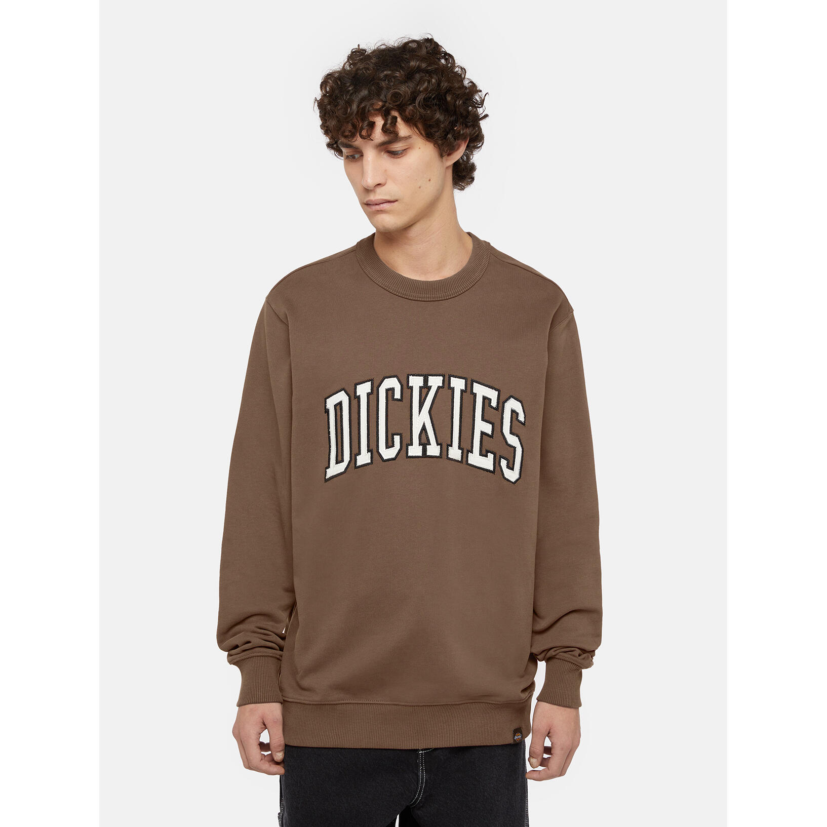 Sweatshirt manches longues Dickies Aitkin 3/6