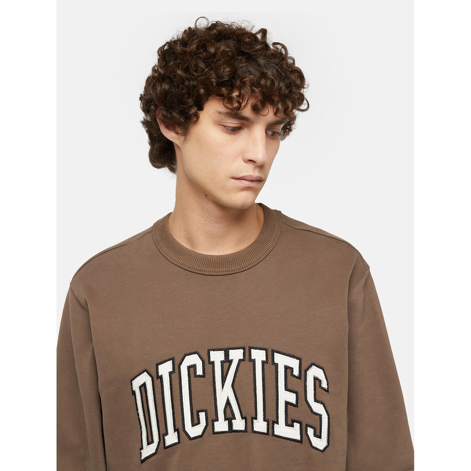 Sweatshirt manches longues Dickies Aitkin 6/6