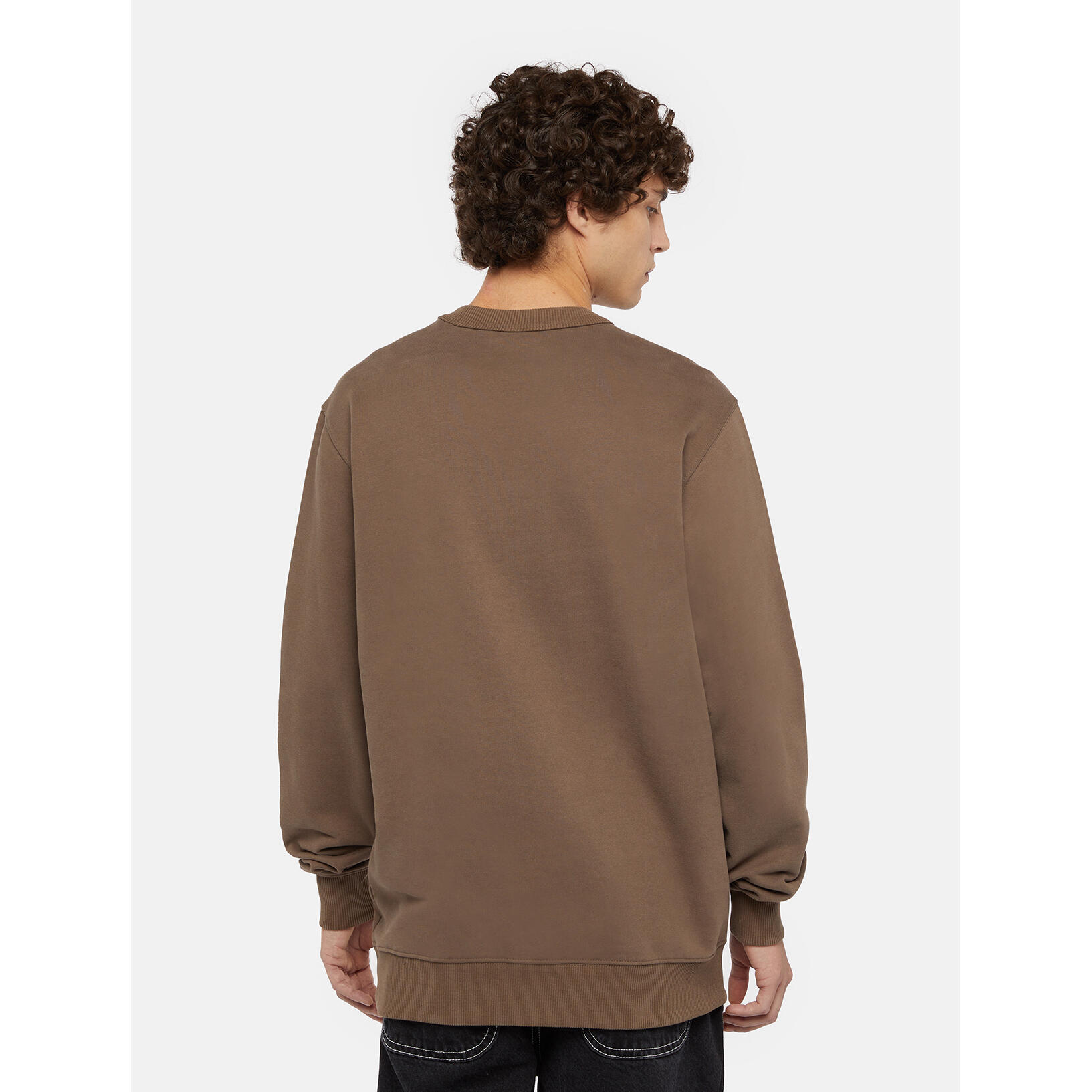 Sweatshirt manches longues Dickies Aitkin 5/6