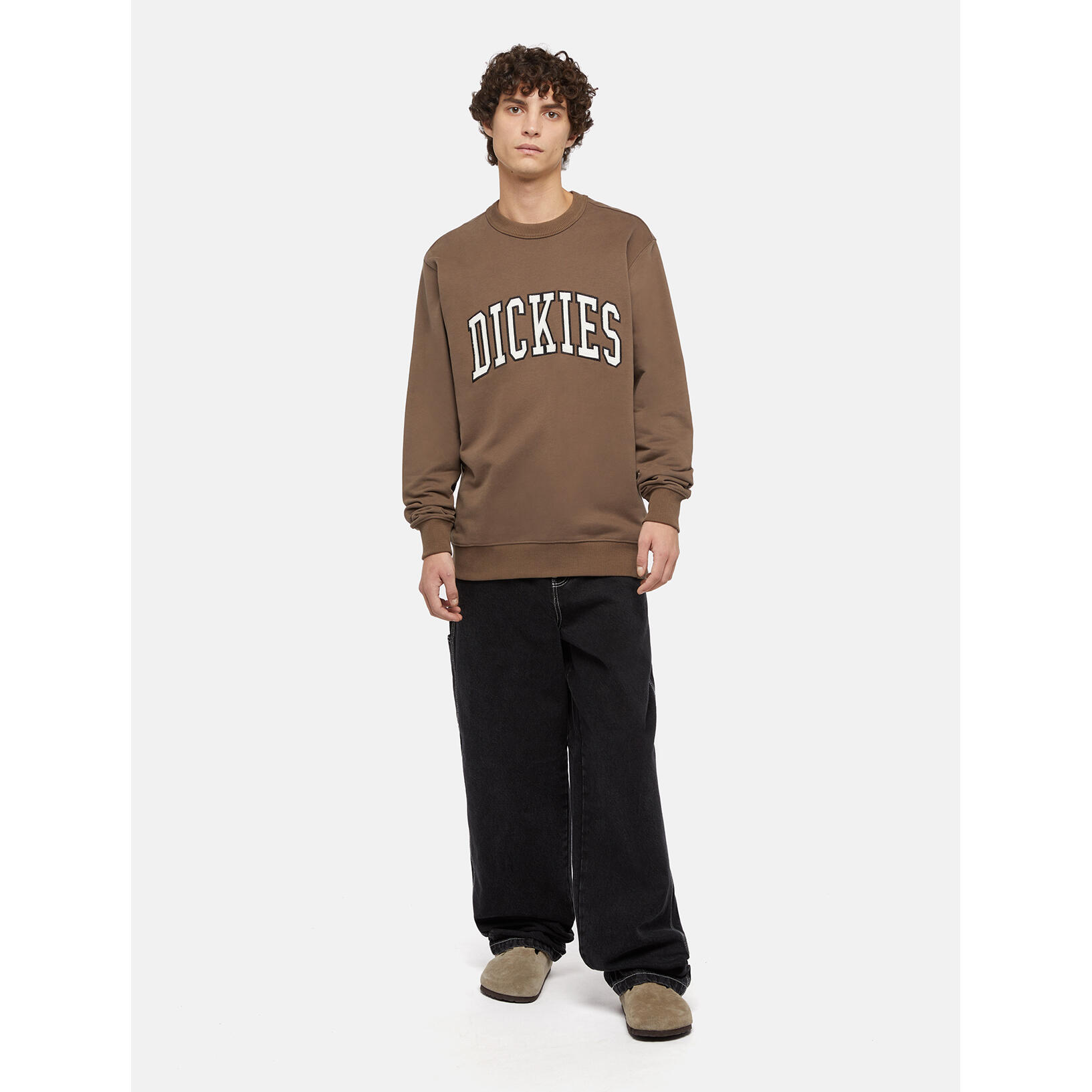 Sweatshirt manches longues Dickies Aitkin 2/6