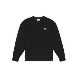 Sweatshirt Dickies Millersburg