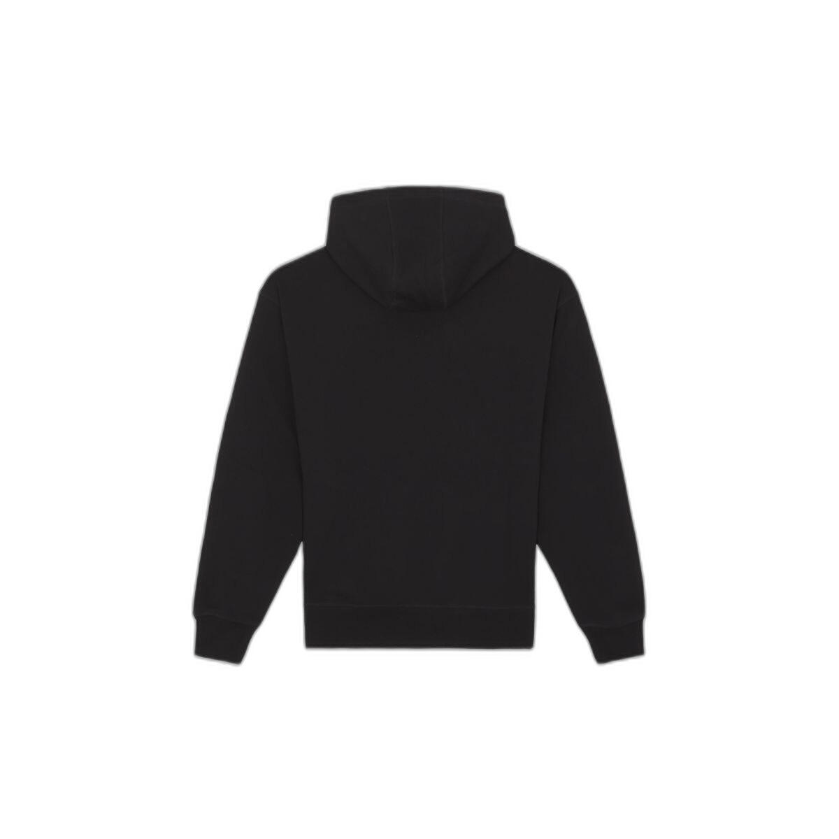 Felpa con cappuccio Dickies Millersburg 2/5