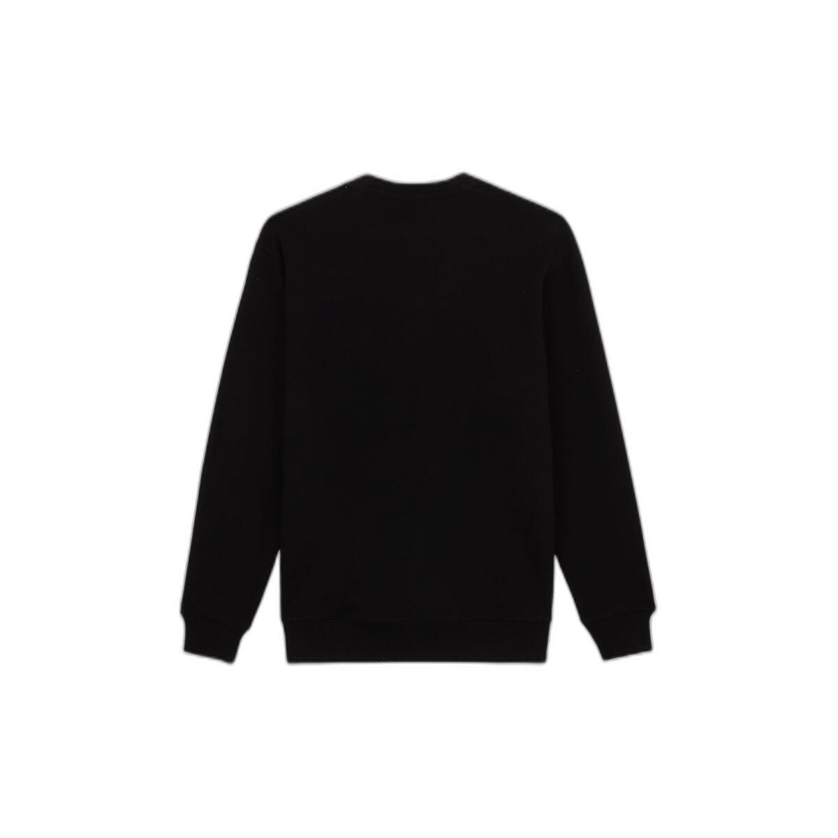 Sweatshirt Dickies Aitkin 2/5