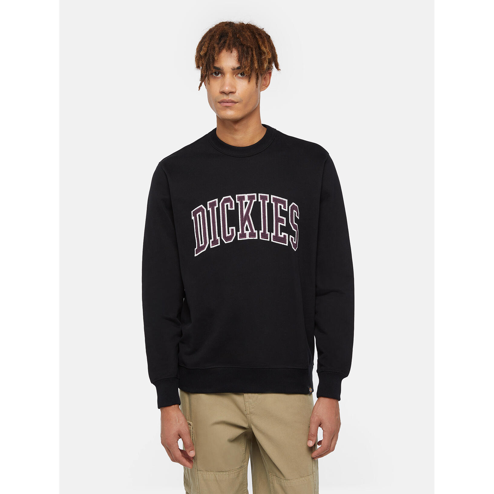 Sweatshirt manches longues Dickies Aitkin 3/6