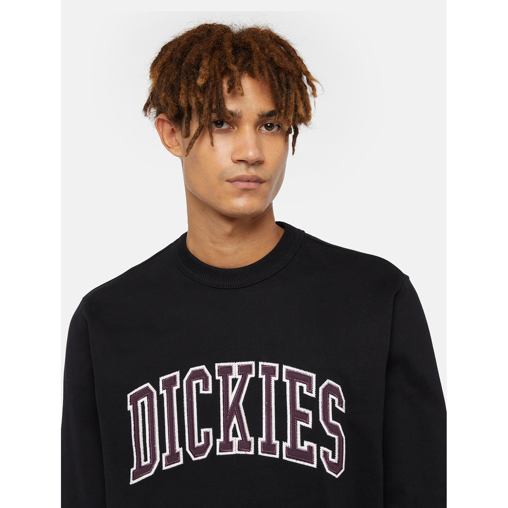 Sweatshirt manches longues Dickies Aitkin 6/6