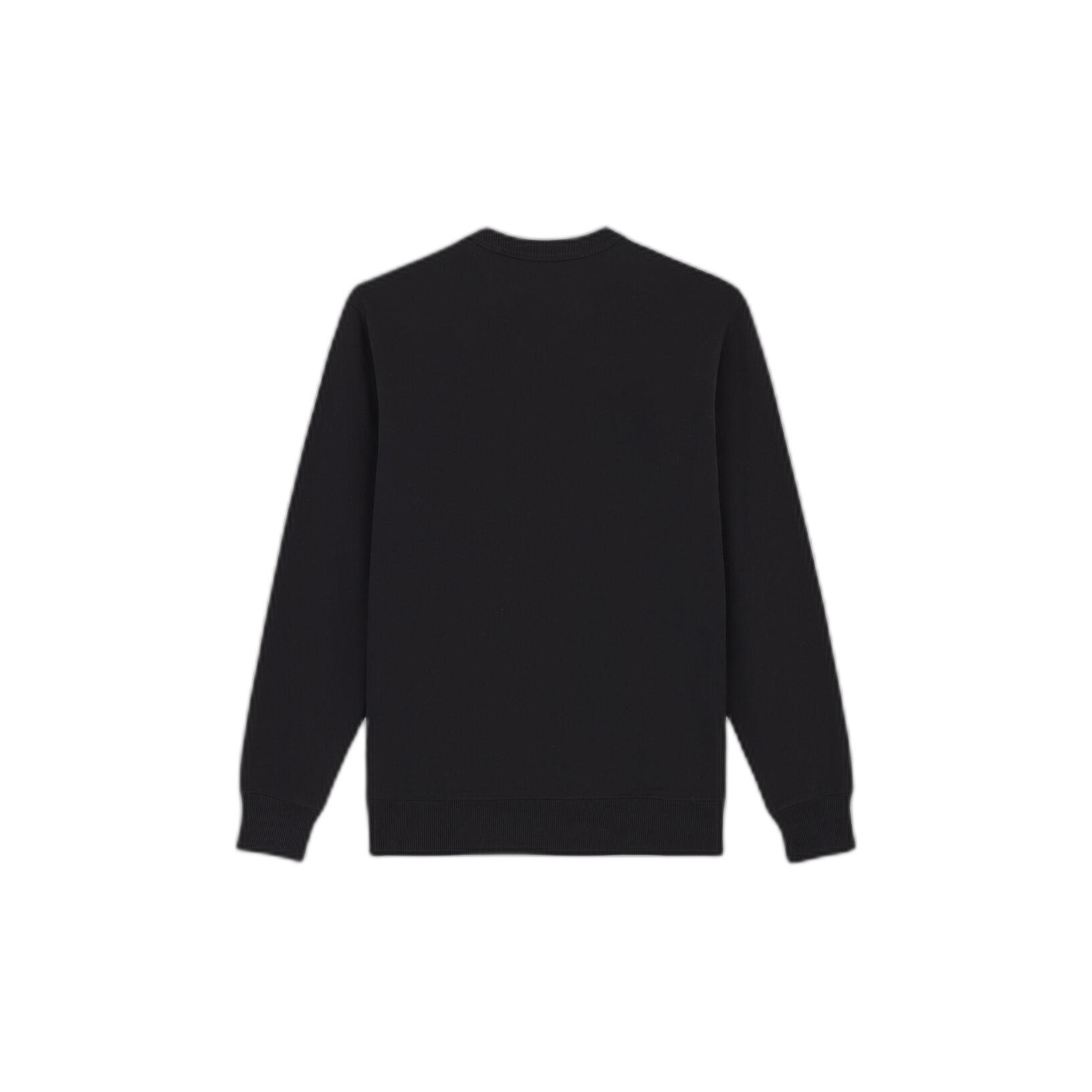 Sweatshirt manches longues Dickies Aitkin 4/6