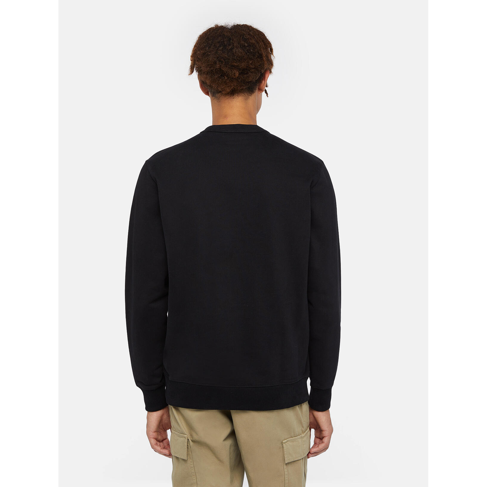Sweatshirt manches longues Dickies Aitkin 5/6