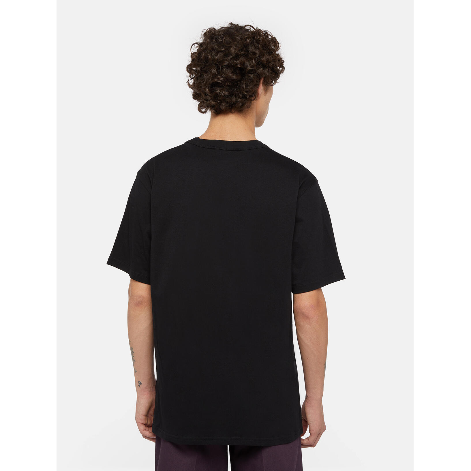 T-shirt Dickies Aitkin Chest 5/7