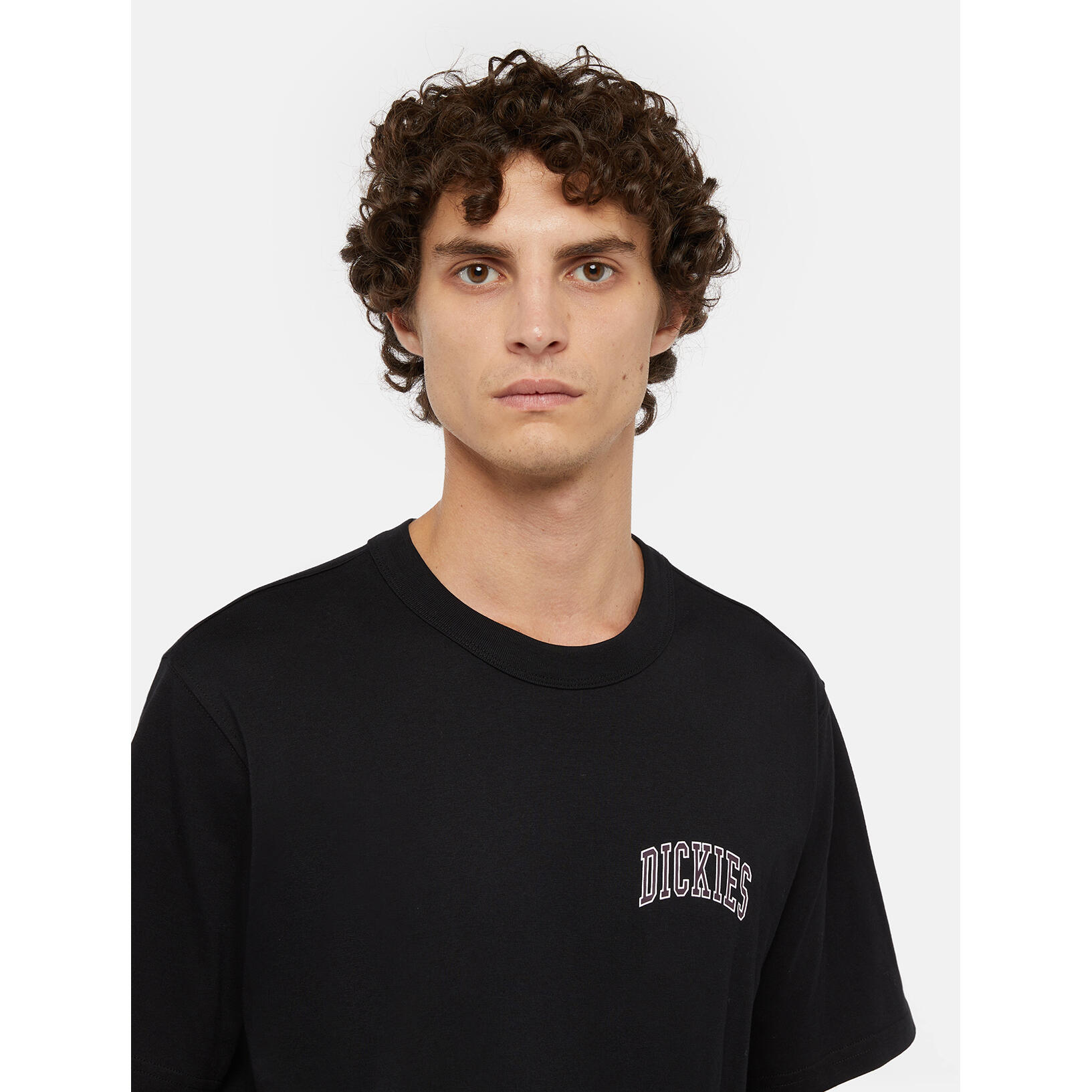T-shirt Dickies Aitkin Chest 6/7