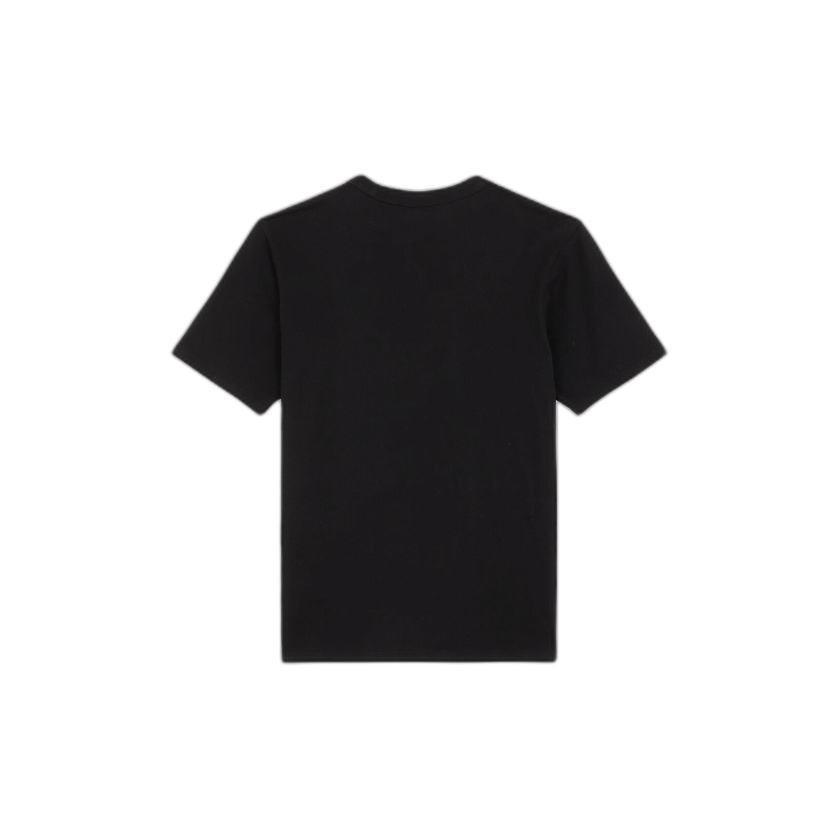 T-shirt Dickies Aitkin Chest 4/7