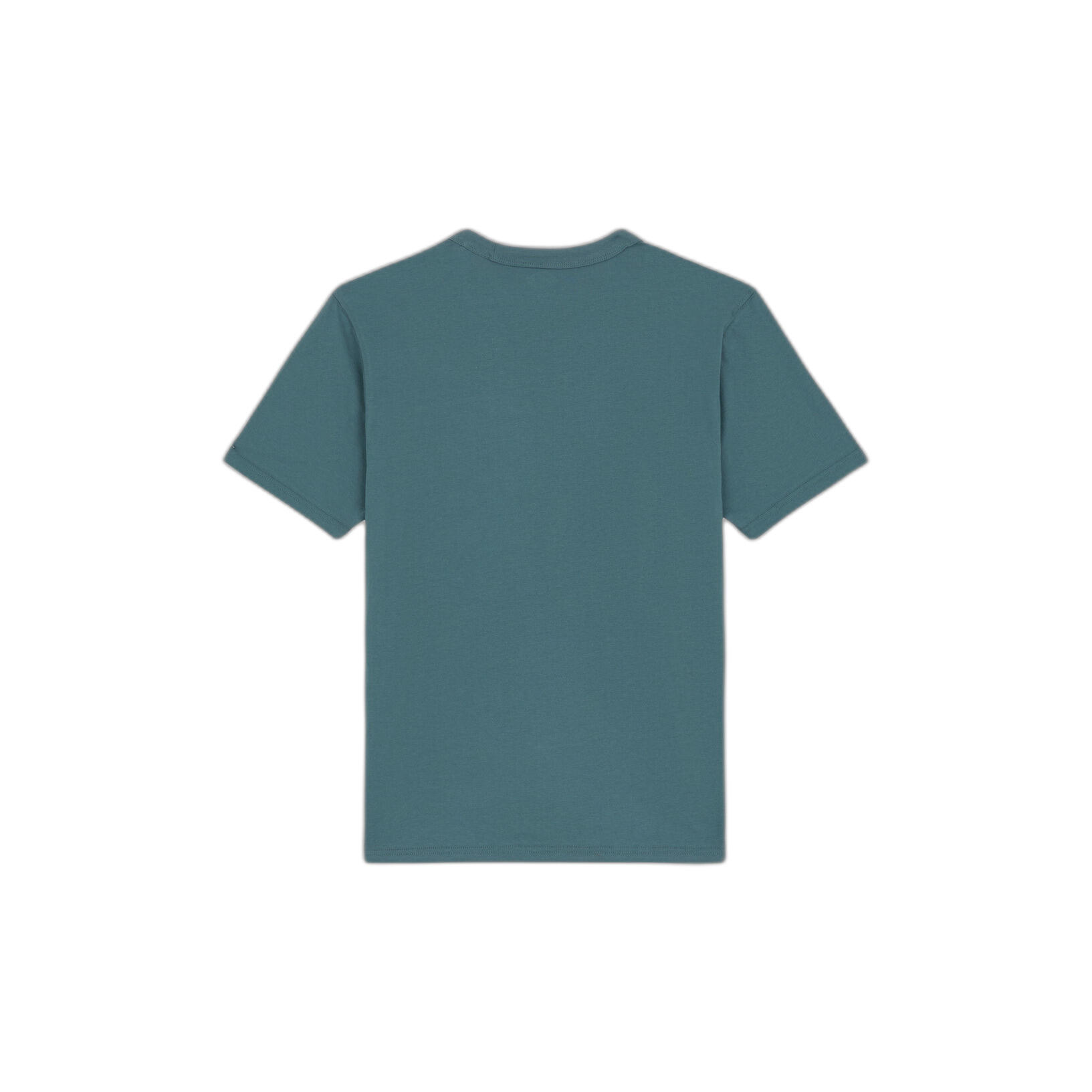 T-shirt Dickies Aitkin Chest 4/7