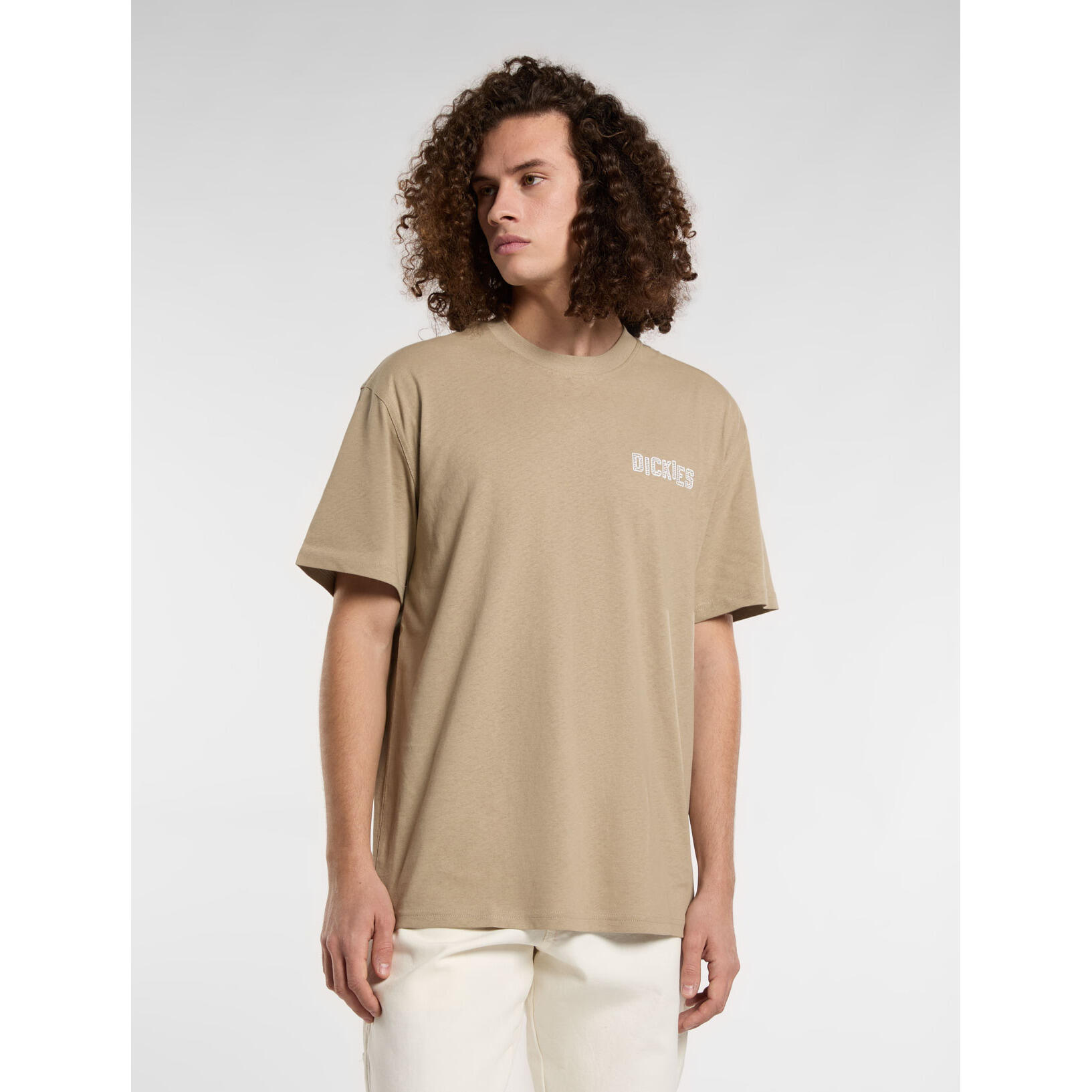 T-shirt Dickies Bricklane 2/3