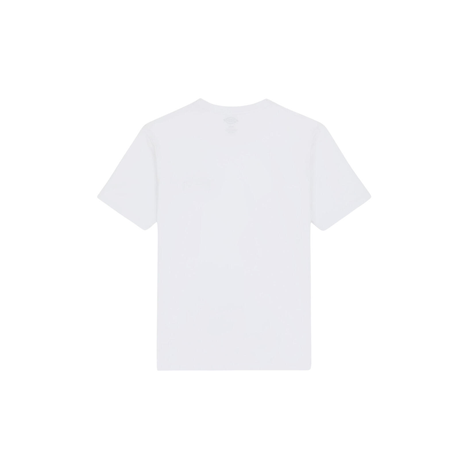 T-shirt Dickies Aitkin Chest 4/7