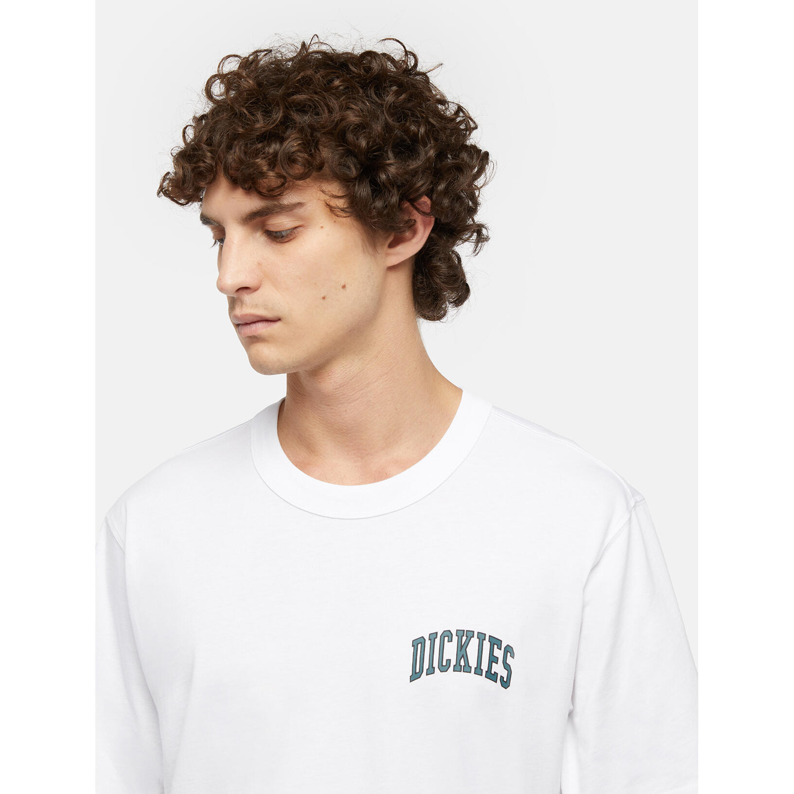 T-shirt Dickies Aitkin Chest 6/7