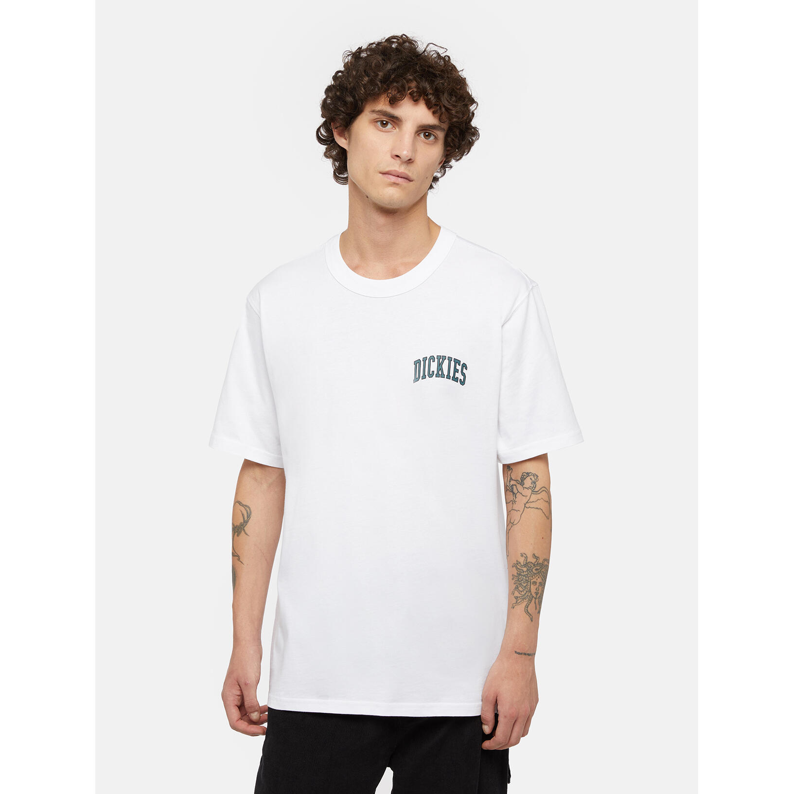 T-shirt Dickies Aitkin Chest 2/7