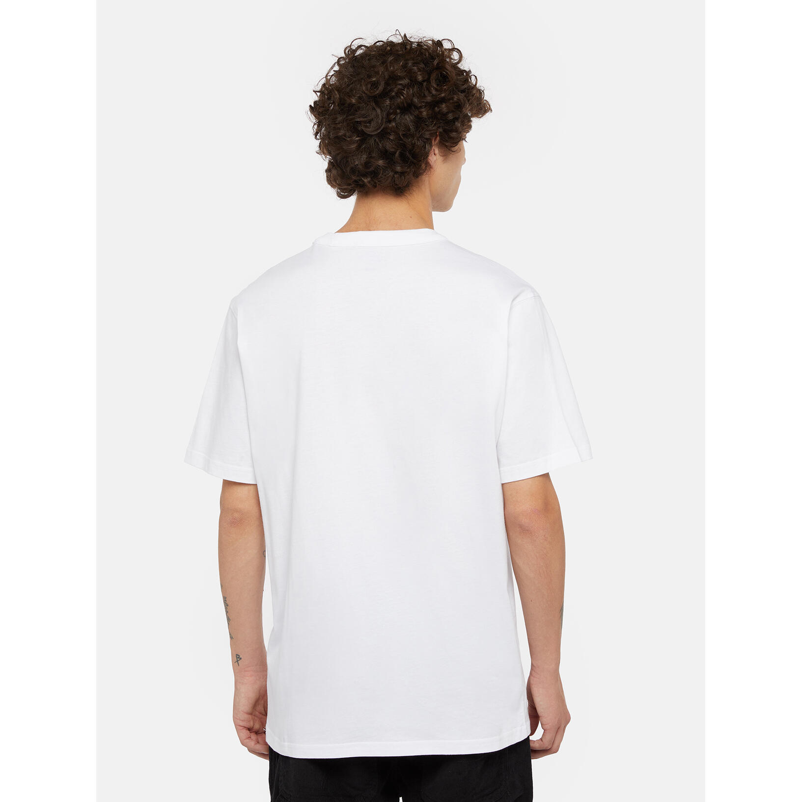 T-shirt Dickies Aitkin Chest 5/7