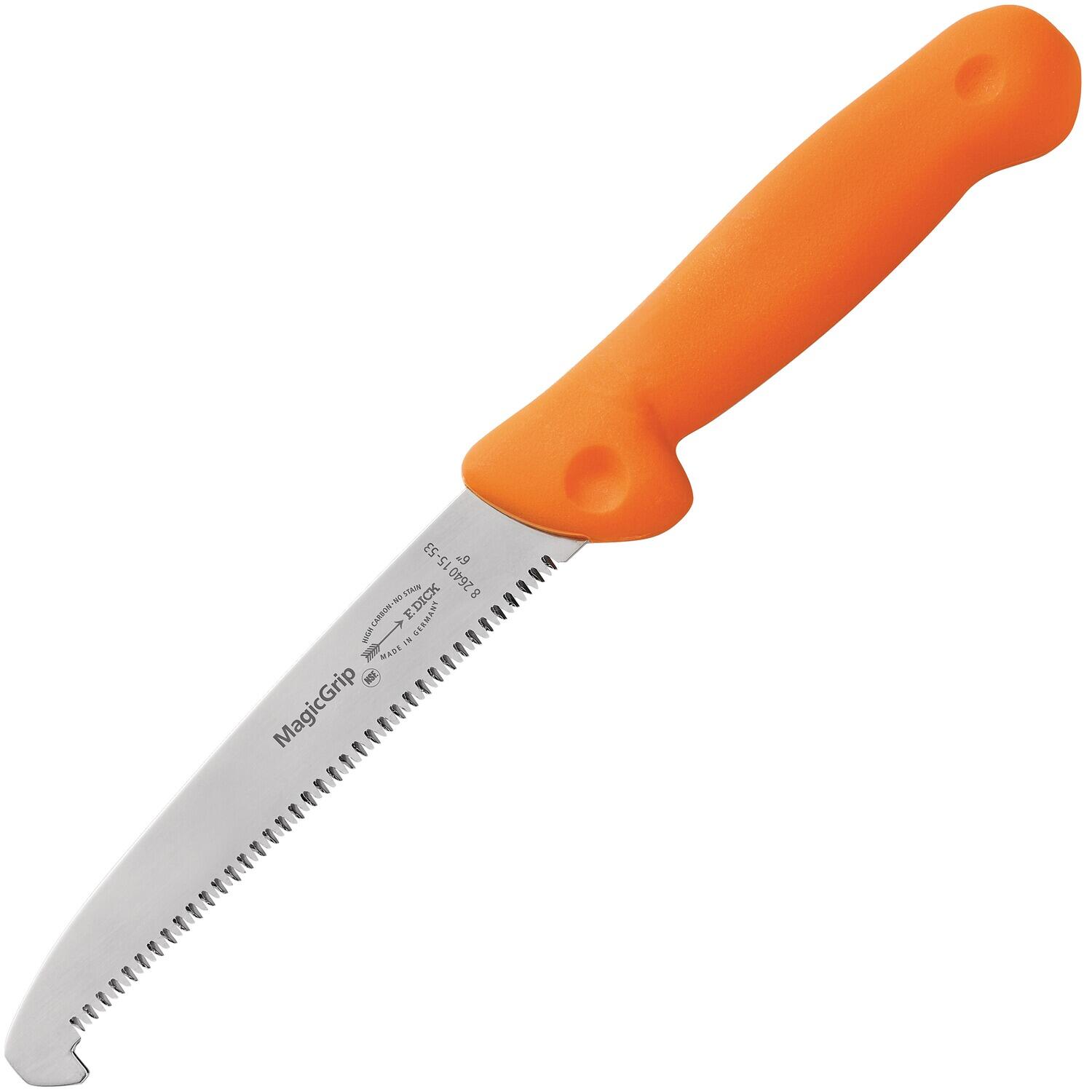DICK picture