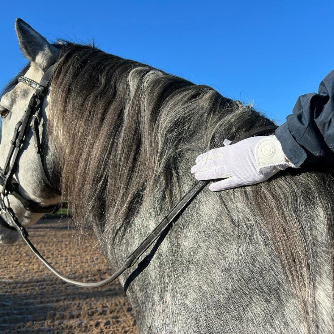 eGLOVE eQUEST GripPrp X-LITE - White Regular 4/7