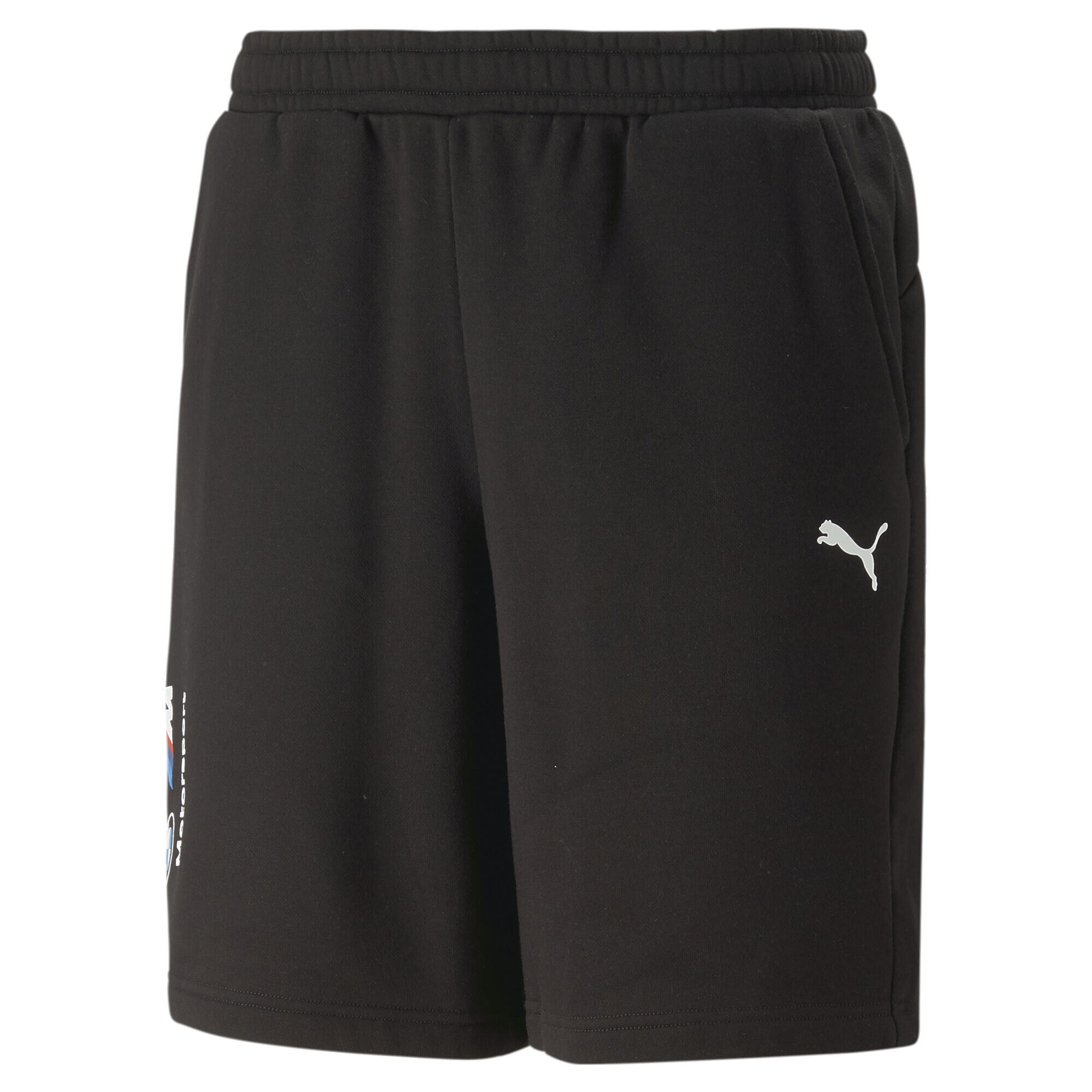 PUMA picture