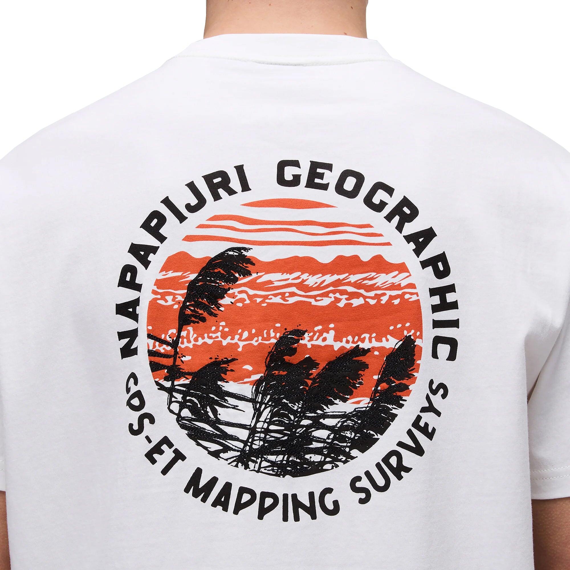 Camiseta masculina Napapijri S-Vignonil Back heron 4/5