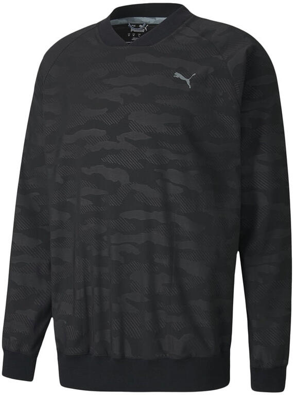 PUMA picture