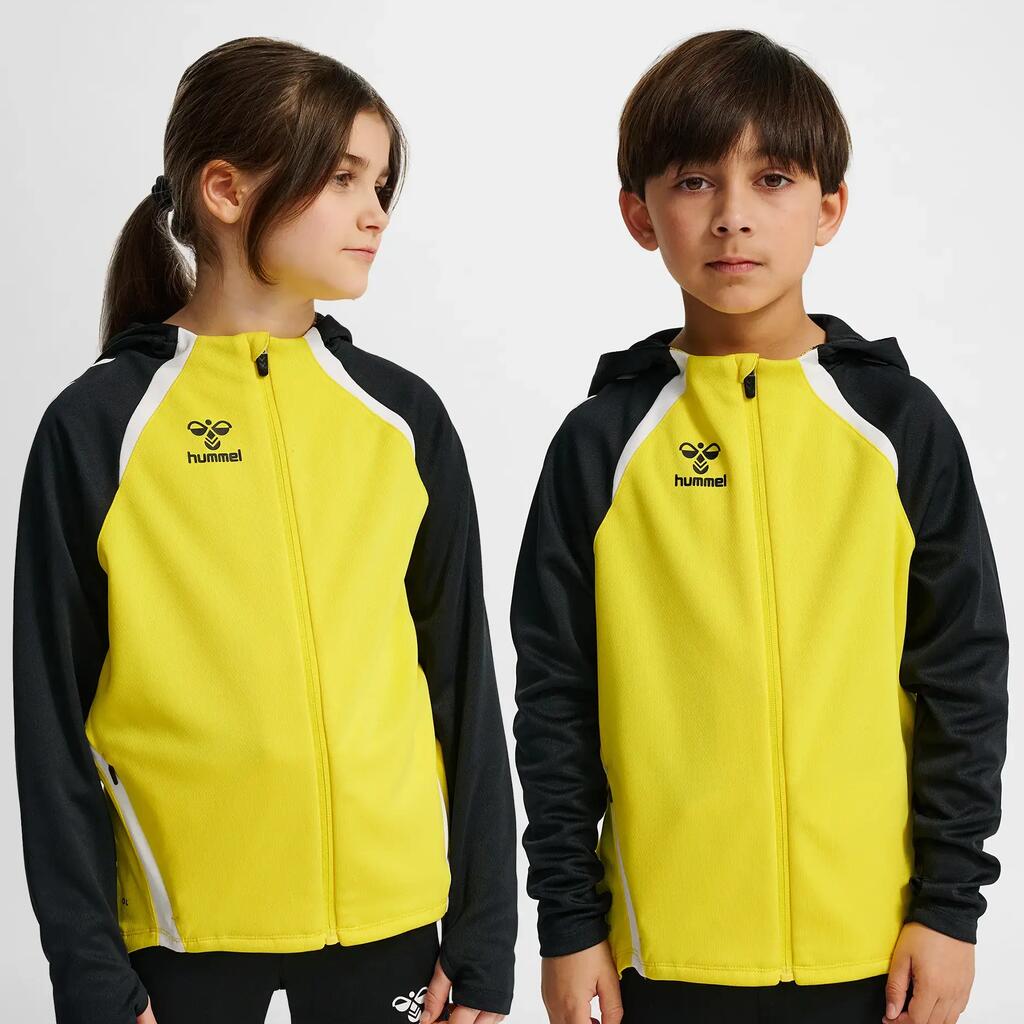 Hooded sweatshirt with zipper Hummel Lead 2.0