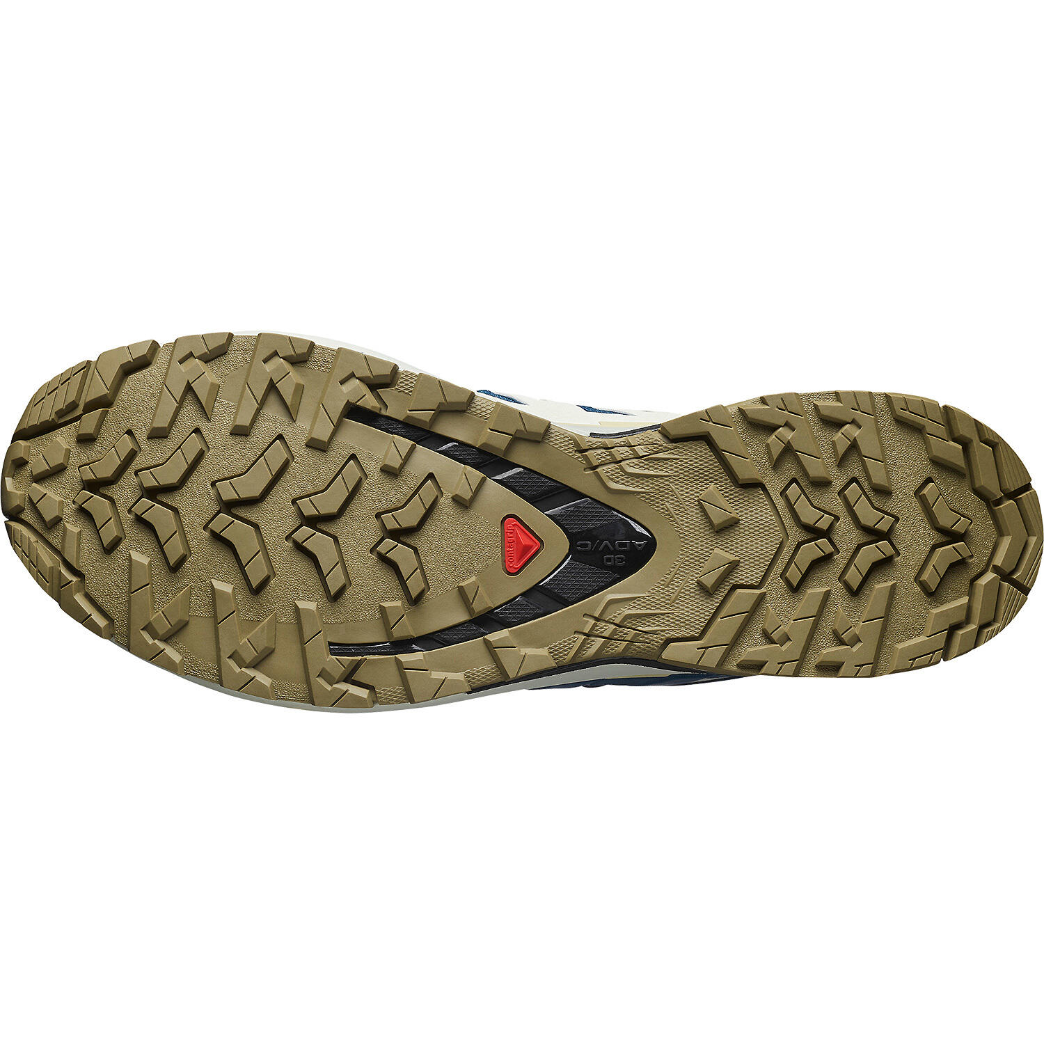 Schoenen Salomon XA Pro 3D V9 GTX Trail Blauw/Beige 4/6