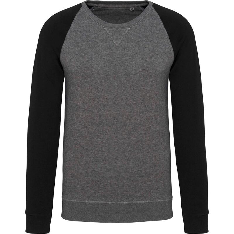 0a17111c-2db6-4644-aa25-cd0ac86eb0c0_c251c1