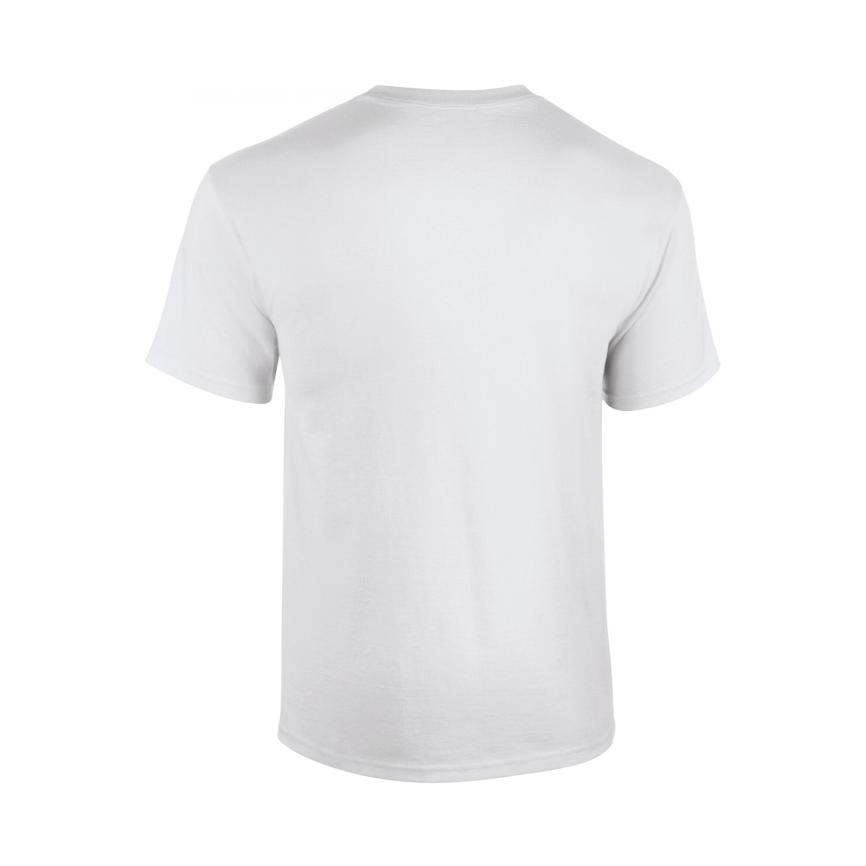 T-Shirt Gildan 2/3