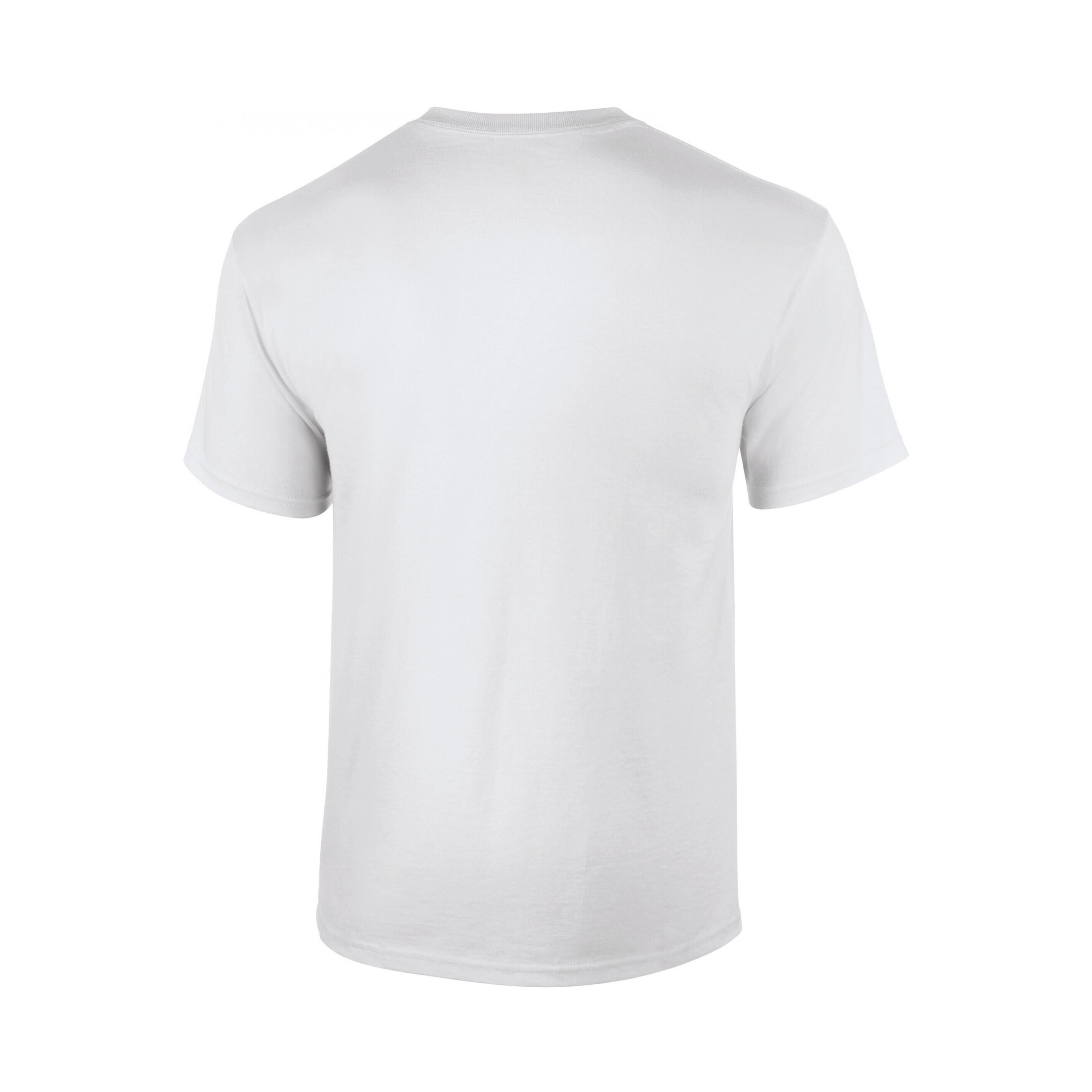 T-Shirt Gildan 2/3