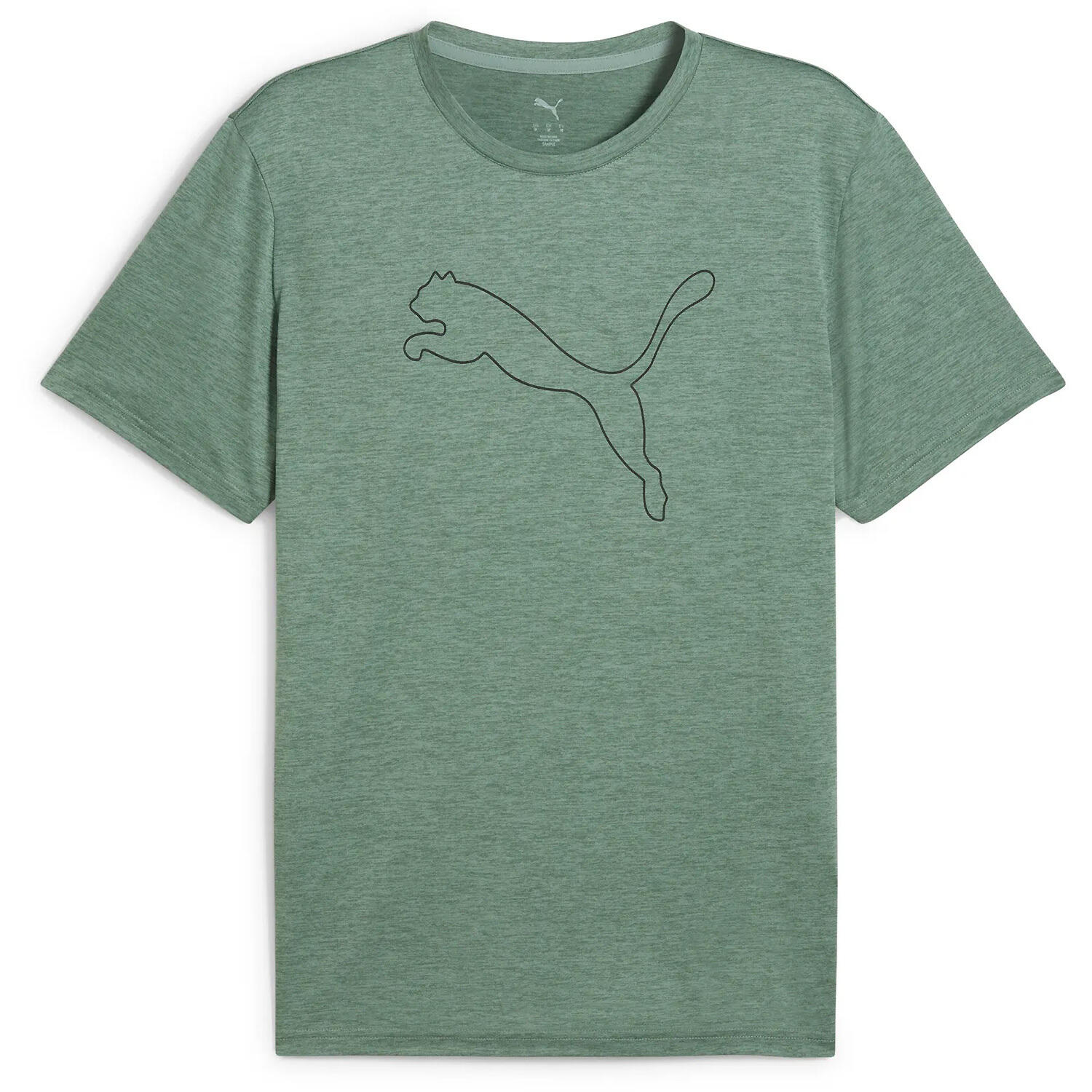 PUMA picture
