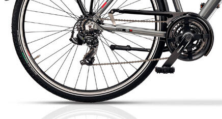 Trekkingbike  ARENA LADY 28 Zoll 4/4